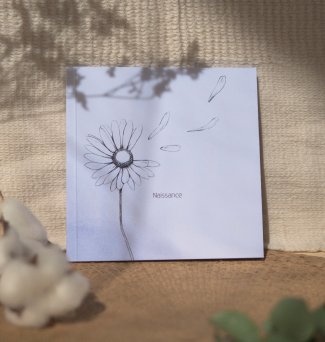 Livre de naissance pocket Nature