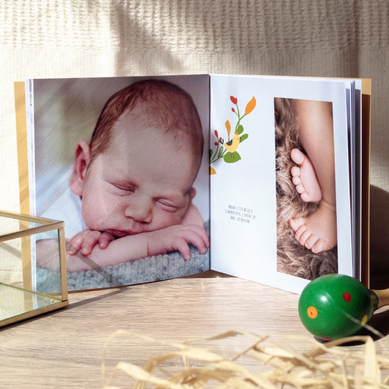 Livre de naissance pocket Petit Royaume